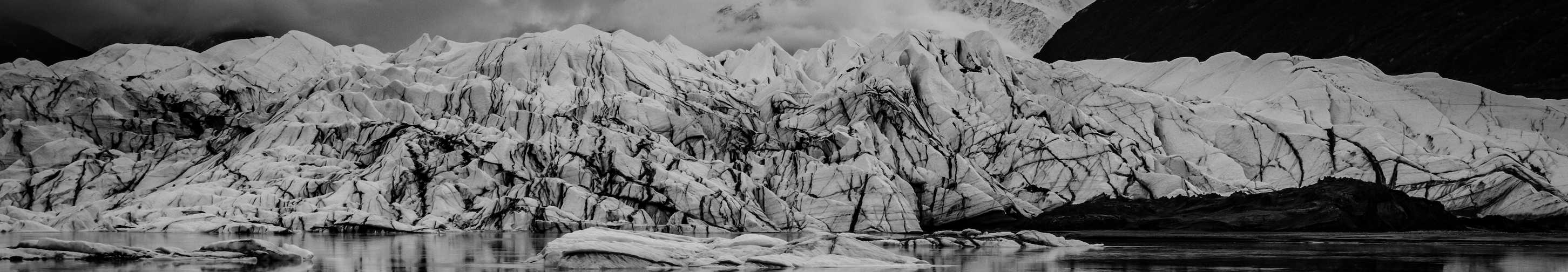 Across each market cycle, Pangaia has thrived on challenges and developed novel alpha strategies.